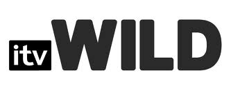 itv wild logo